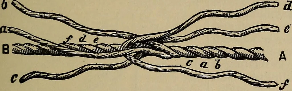 An illustration from The young folk's cyclopædia of games and sports ;, 1899, leaf 618