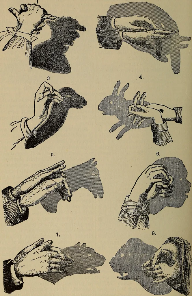 An illustration from The young folk's cyclopædia of games and sports ;, 1899, leaf 629