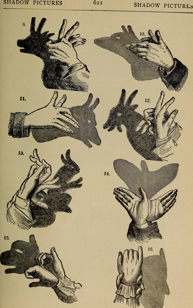 An illustration from The young folk's cyclopædia of games and sports ;, 1899, leaf 630
