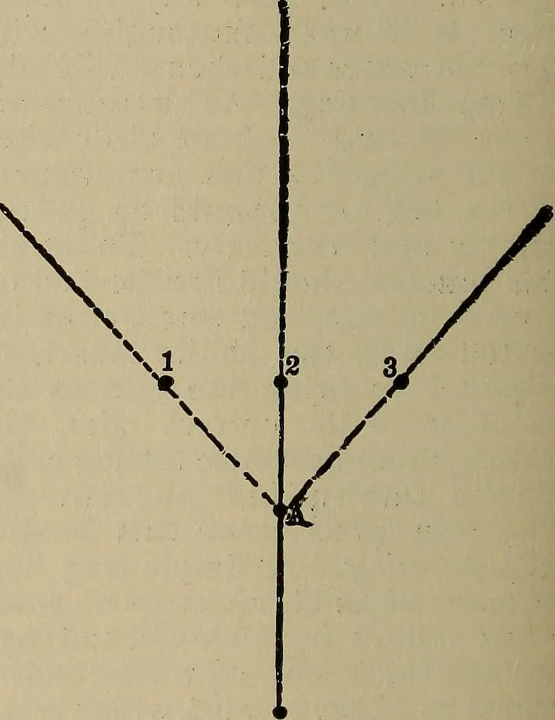 An illustration from The young folk's cyclopædia of games and sports ;, 1899, leaf 639