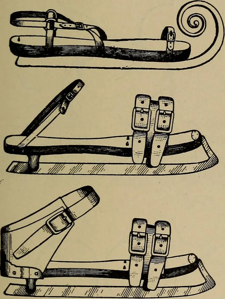 An illustration from The young folk's cyclopædia of games and sports ;, 1899, leaf 654