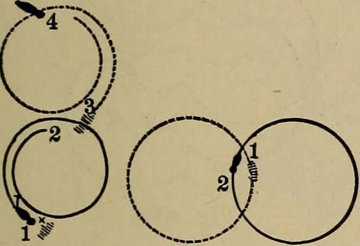 An illustration from The young folk's cyclopædia of games and sports ;, 1899, leaf 656