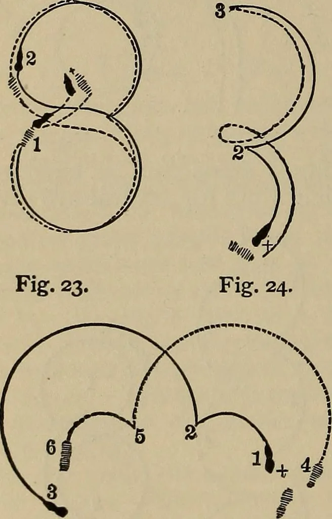 An illustration from The young folk's cyclopædia of games and sports ;, 1899, leaf 657