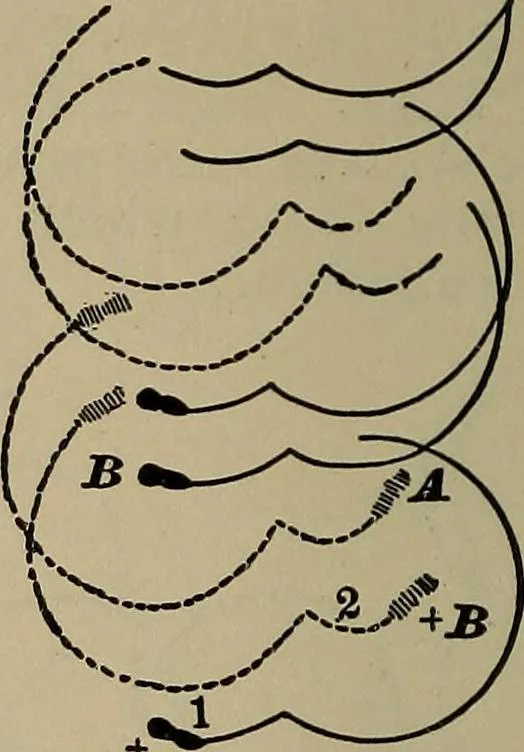 An illustration from The young folk's cyclopædia of games and sports ;, 1899, leaf 657