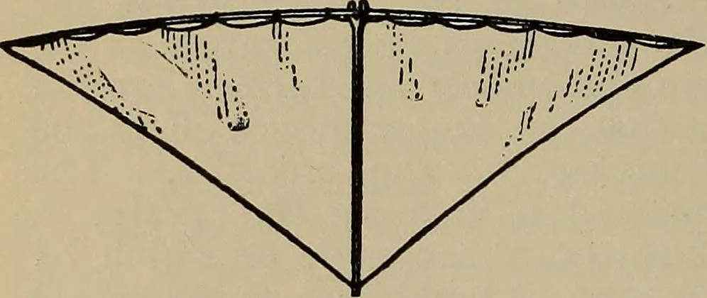 An illustration from The young folk's cyclopædia of games and sports ;, 1899, leaf 661