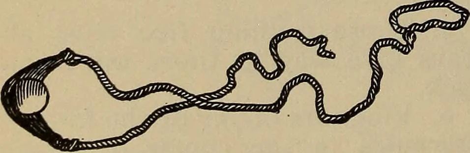 An illustration from The young folk's cyclopædia of games and sports ;, 1899, leaf 663