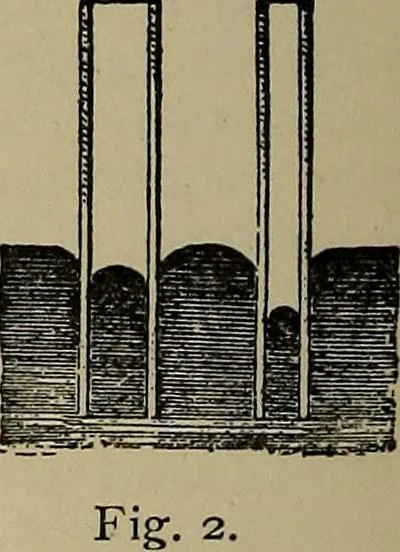 An illustration from The young folk's cyclopædia of games and sports ;, 1899, leaf 665