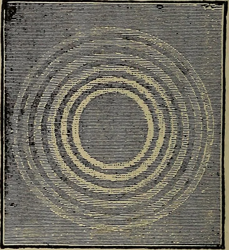 An illustration from The young folk's cyclopædia of games and sports ;, 1899, leaf 667