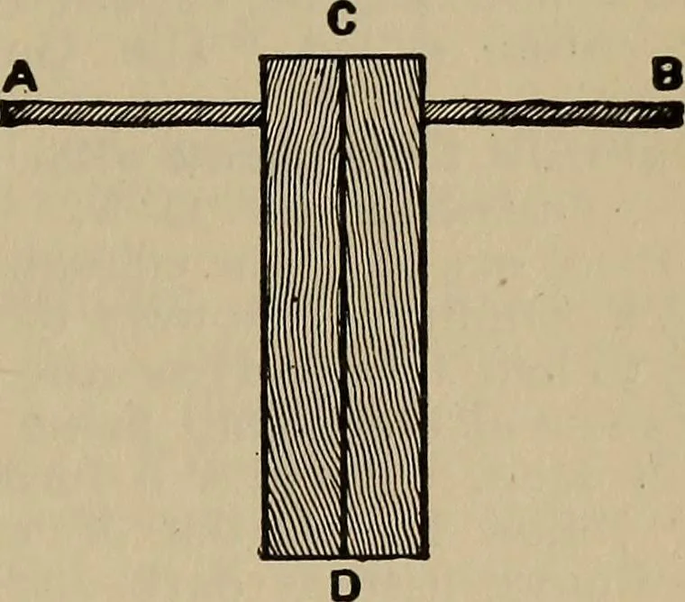 An illustration from The young folk's cyclopædia of games and sports ;, 1899, leaf 690