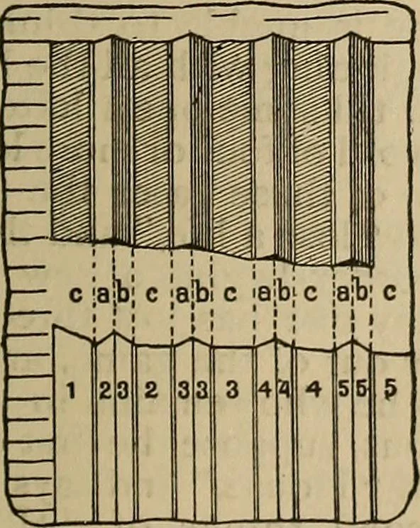 An illustration from The young folk's cyclopædia of games and sports ;, 1899, leaf 732