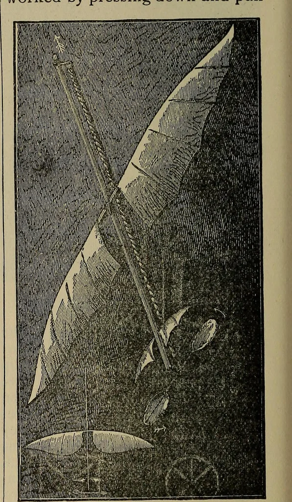 An illustration from The young folk's cyclopædia of games and sports ;, 1899, leaf 743