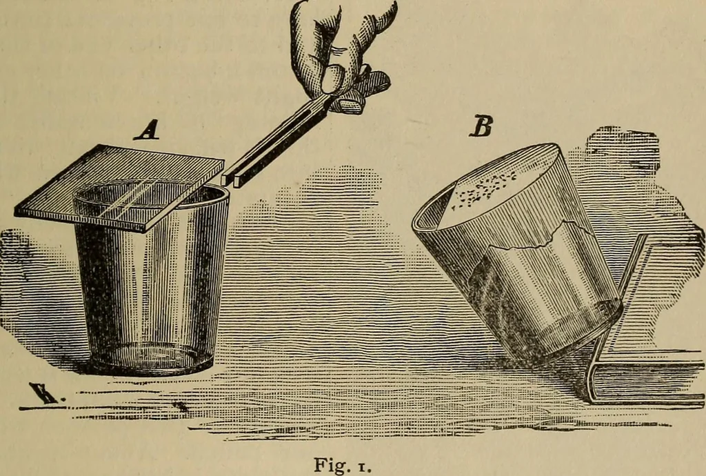 An illustration from The young folk's cyclopædia of games and sports ;, 1899, leaf 752