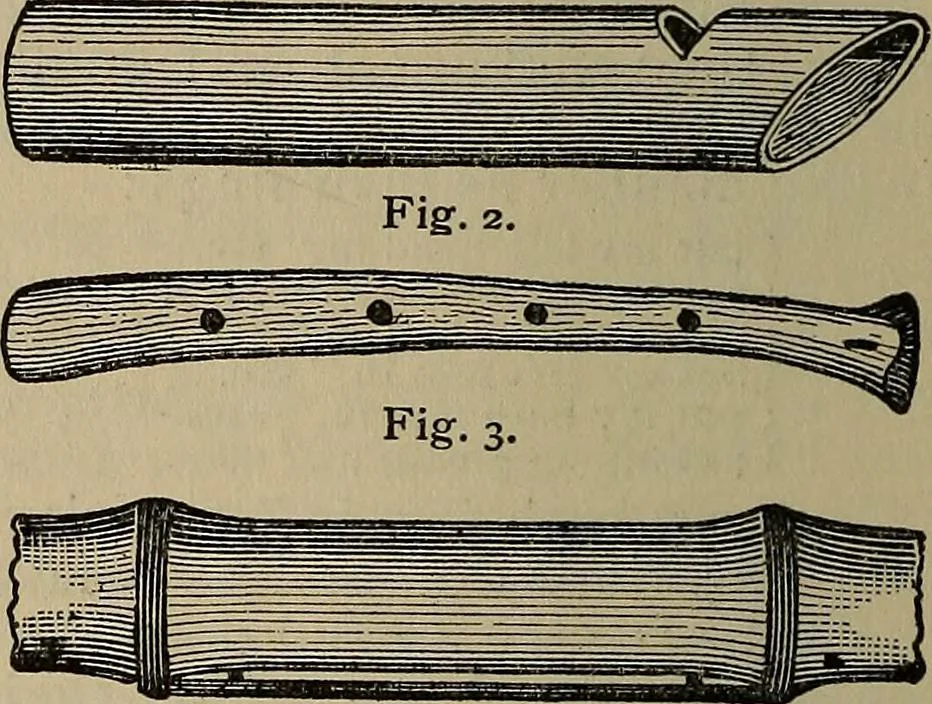 An illustration from The young folk's cyclopædia of games and sports ;, 1899, leaf 763