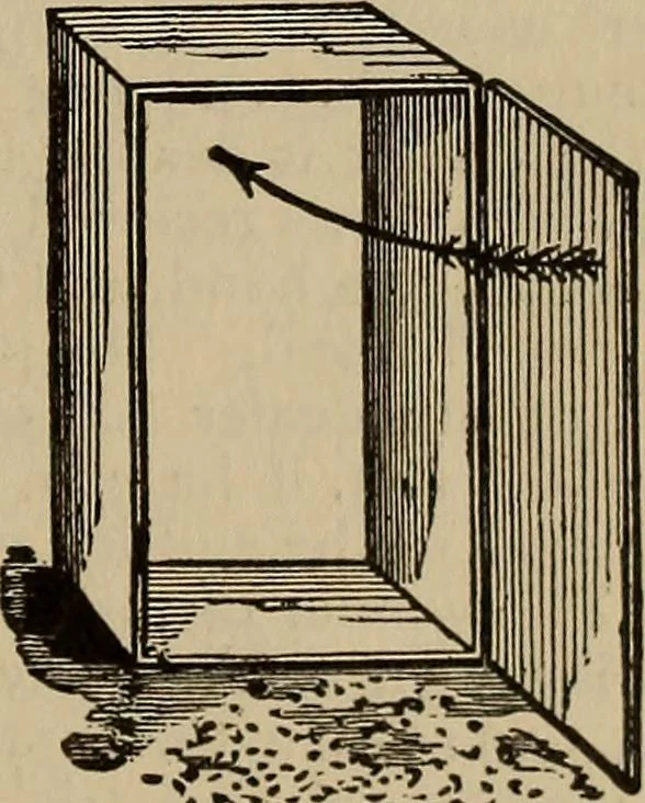 An illustration from The young folk's cyclopædia of games and sports ;, 1899, leaf 774