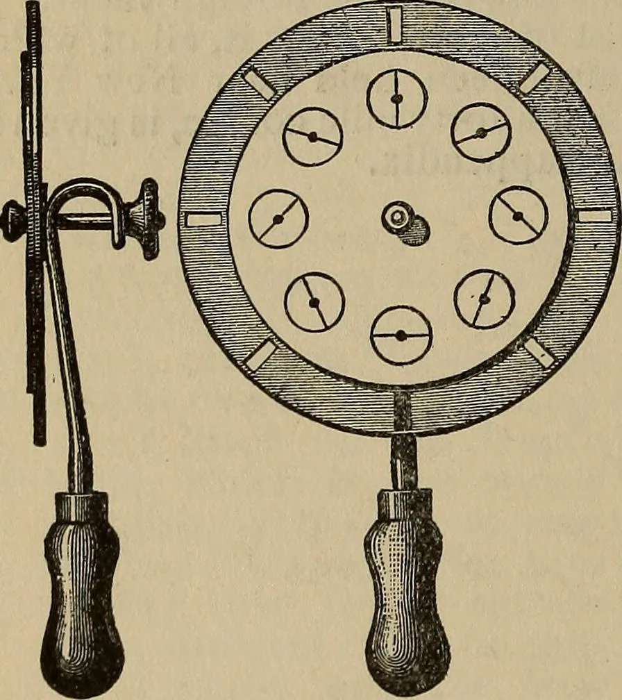 An illustration from The young folk's cyclopædia of games and sports ;, 1899, leaf 791