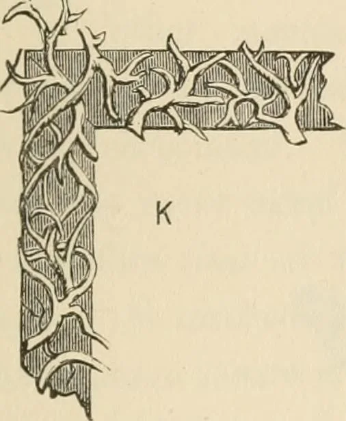 An illustration from The young mechanic; containing directions for the use of all kinds of tools, and for the construction of steam engines and mechanical models, including the art of turning in wood and metal, 1902, leaf 102