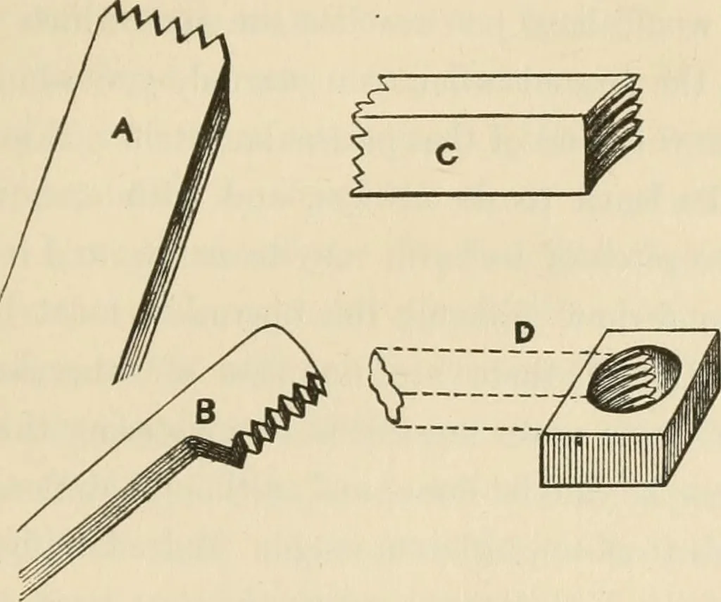 An illustration from The young mechanic; containing directions for the use of all kinds of tools, and for the construction of steam engines and mechanical models, including the art of turning in wood and metal, 1902, leaf 208