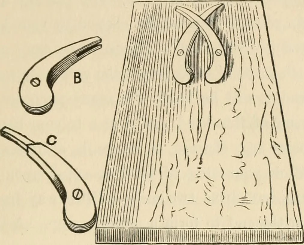 An illustration from The young mechanic; containing directions for the use of all kinds of tools, and for the construction of steam engines and mechanical models, including the art of turning in wood and metal, 1902, leaf 52