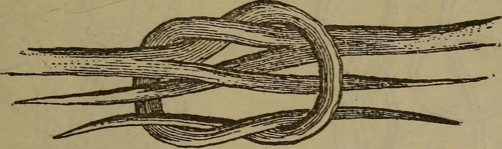 An illustration from Young sailor's assistant in practical seamanship including the rules of the road; directions for resuscitating the apparently drowned, etc., etc., together with the salutes ... naval signal flags, Very's lights, and the international code of signals, 1893, leaf 120