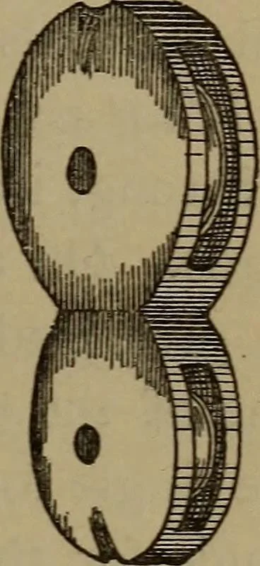 An illustration from Young sailor's assistant in practical seamanship including the rules of the road; directions for resuscitating the apparently drowned, etc., etc., together with the salutes ... naval signal flags, Very's lights, and the international code of signals, 1893, leaf 178