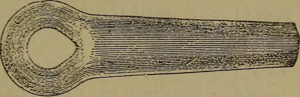 An illustration from Young sailor's assistant in practical seamanship including the rules of the road; directions for resuscitating the apparently drowned, etc., etc., together with the salutes ... naval signal flags, Very's lights, and the international code of signals, 1893, leaf 248