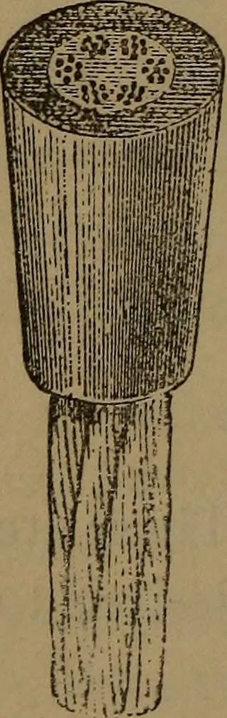 An illustration from Young sailor's assistant in practical seamanship including the rules of the road; directions for resuscitating the apparently drowned, etc., etc., together with the salutes ... naval signal flags, Very's lights, and the international code of signals, 1893, leaf 249