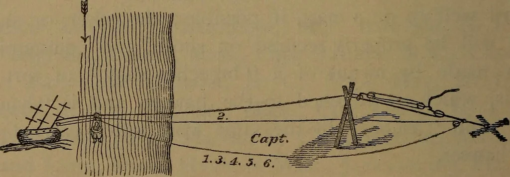 An illustration from Young sailor's assistant in practical seamanship including the rules of the road; directions for resuscitating the apparently drowned, etc., etc., together with the salutes ... naval signal flags, Very's lights, and the international code of signals, 1893, leaf 433