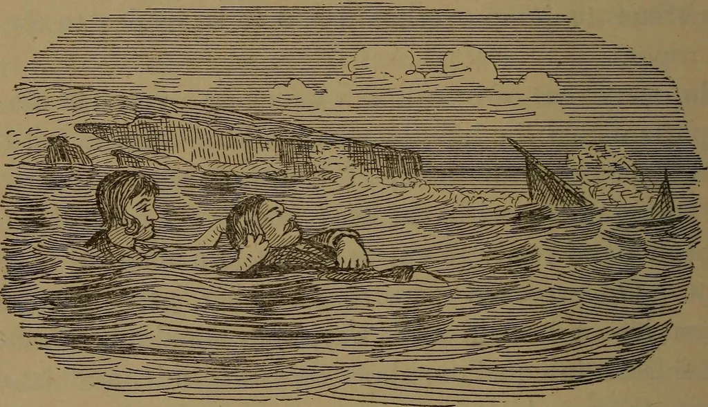 An illustration from Young sailor's assistant in practical seamanship including the rules of the road; directions for resuscitating the apparently drowned, etc., etc., together with the salutes ... naval signal flags, Very's lights, and the international code of signals, 1893, leaf 443