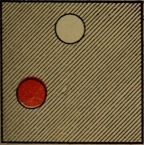 An illustration from Young sailor's assistant in practical seamanship including the rules of the road; directions for resuscitating the apparently drowned, etc., etc., together with the salutes ... naval signal flags, Very's lights, and the international code of signals, 1893, leaf 52