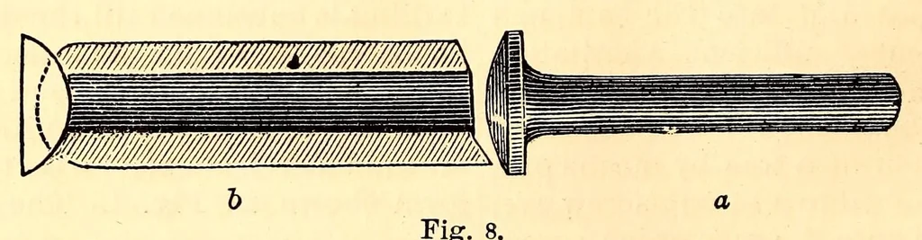 An illustration from Young scientist, 1878, leaf 386