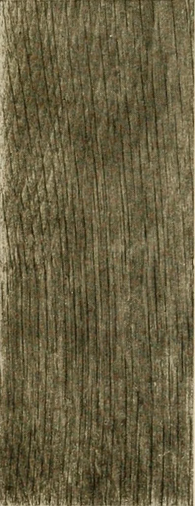 An illustration from Your home and its decoration; a series of practical suggestions for the painting, decorating, and furnishing of the home, comp. .., 1910, leaf 162
