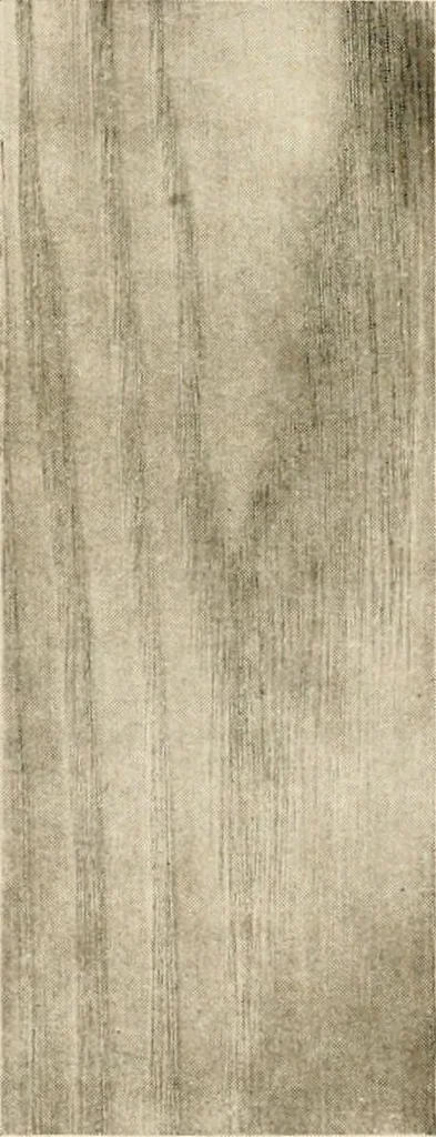 An illustration from Your home and its decoration; a series of practical suggestions for the painting, decorating, and furnishing of the home, comp. .., 1910, leaf 163