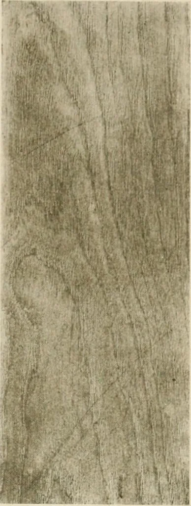 An illustration from Your home and its decoration; a series of practical suggestions for the painting, decorating, and furnishing of the home, comp. .., 1910, leaf 164