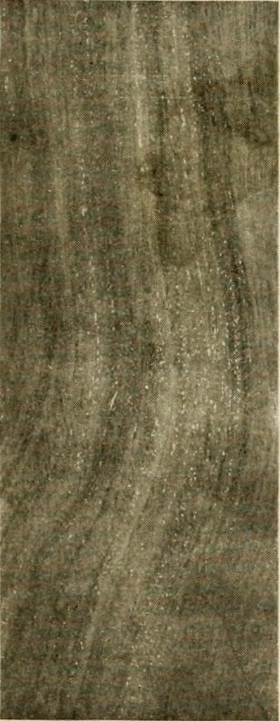 An illustration from Your home and its decoration; a series of practical suggestions for the painting, decorating, and furnishing of the home, comp. .., 1910, leaf 164