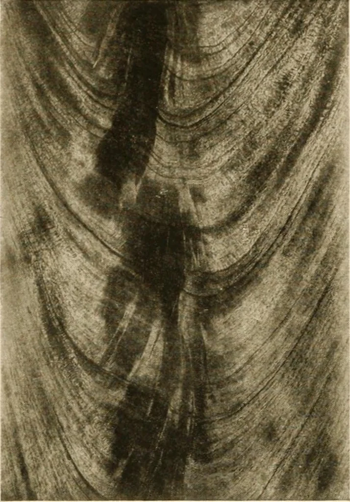 An illustration from Your home and its decoration; a series of practical suggestions for the painting, decorating, and furnishing of the home, comp. .., 1910, leaf 165