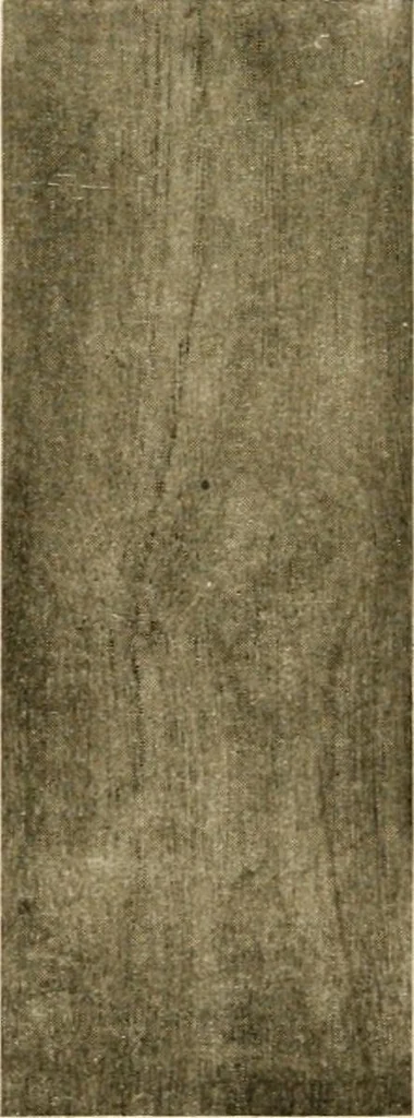 An illustration from Your home and its decoration; a series of practical suggestions for the painting, decorating, and furnishing of the home, comp. .., 1910, leaf 165