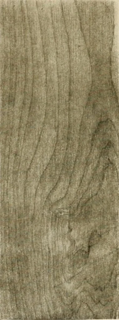An illustration from Your home and its decoration; a series of practical suggestions for the painting, decorating, and furnishing of the home, comp. .., 1910, leaf 166