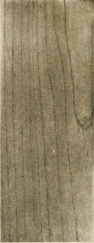 An illustration from Your home and its decoration; a series of practical suggestions for the painting, decorating, and furnishing of the home, comp. .., 1910, leaf 167