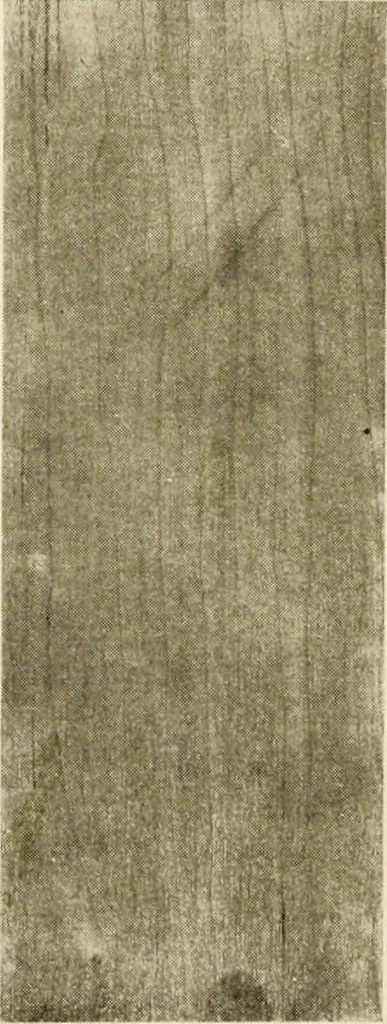 An illustration from Your home and its decoration; a series of practical suggestions for the painting, decorating, and furnishing of the home, comp. .., 1910, leaf 167