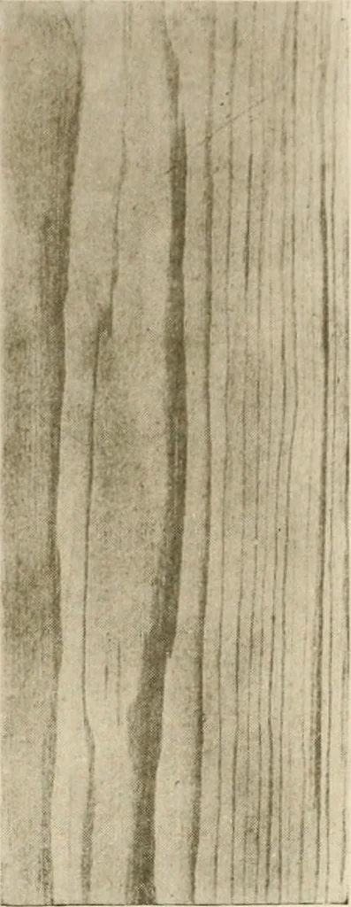An illustration from Your home and its decoration; a series of practical suggestions for the painting, decorating, and furnishing of the home, comp. .., 1910, leaf 168