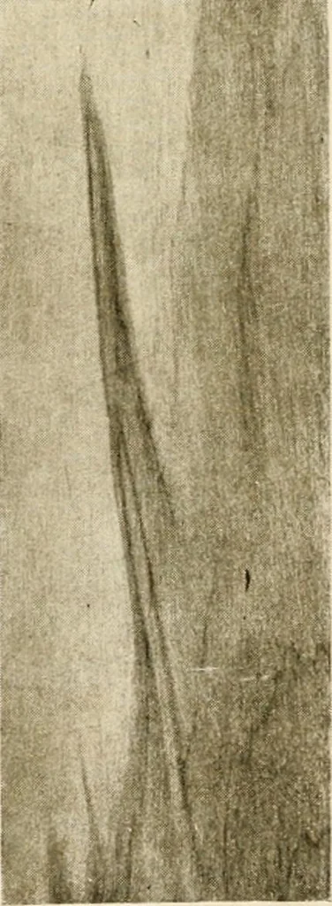 An illustration from Your home and its decoration; a series of practical suggestions for the painting, decorating, and furnishing of the home, comp. .., 1910, leaf 169