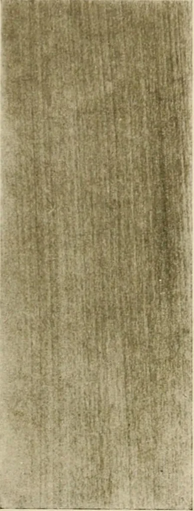 An illustration from Your home and its decoration; a series of practical suggestions for the painting, decorating, and furnishing of the home, comp. .., 1910, leaf 170