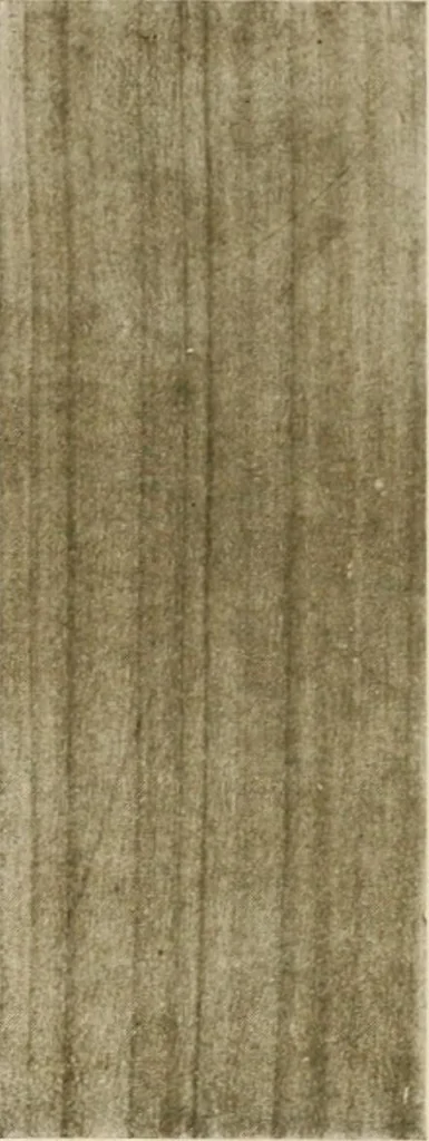 An illustration from Your home and its decoration; a series of practical suggestions for the painting, decorating, and furnishing of the home, comp. .., 1910, leaf 170