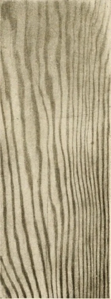 An illustration from Your home and its decoration; a series of practical suggestions for the painting, decorating, and furnishing of the home, comp. .., 1910, leaf 171