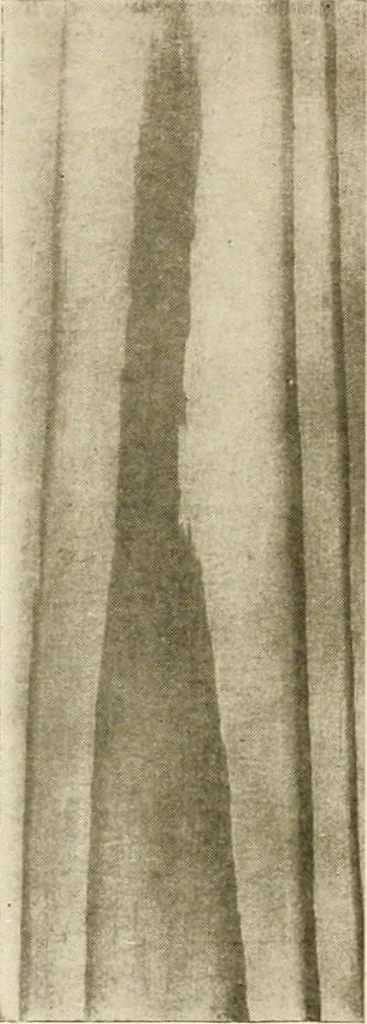 An illustration from Your home and its decoration; a series of practical suggestions for the painting, decorating, and furnishing of the home, comp. .., 1910, leaf 171