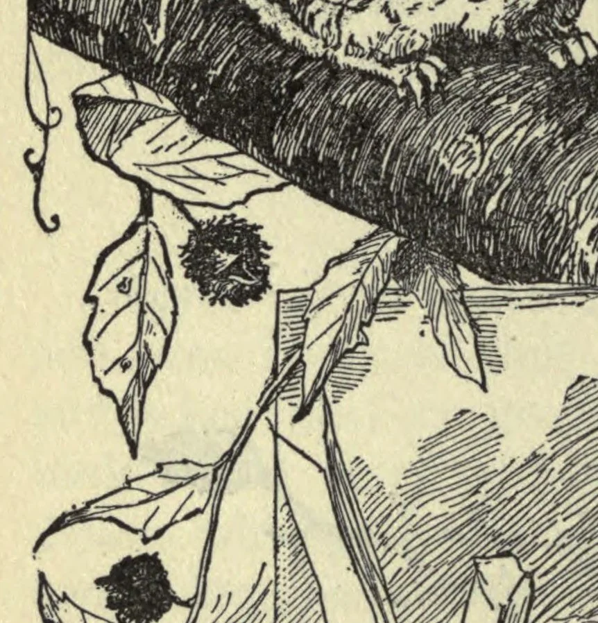 An illustration from How to amuse yourself and others; the American girl's handy book, 1905, leaf 238