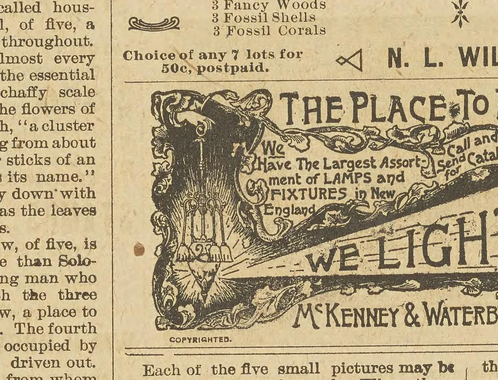 An illustration from The Youth's realm, 1906, leaf 11