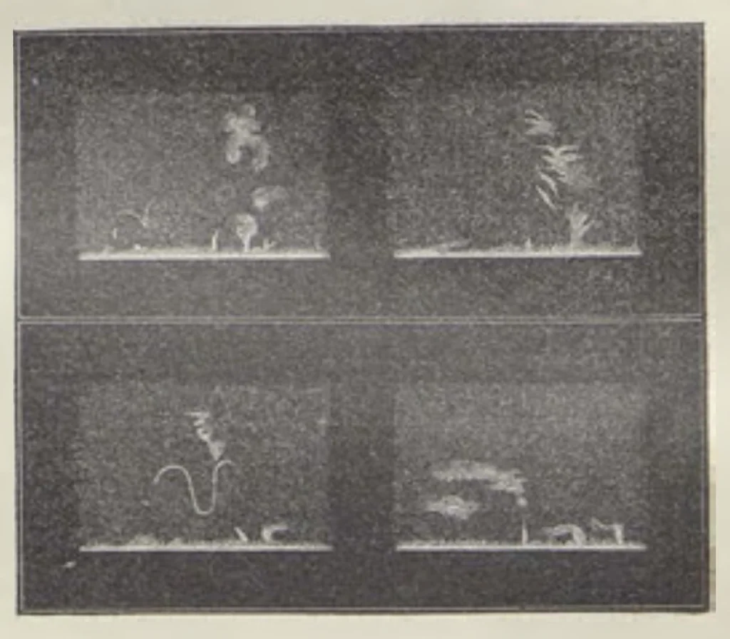 An illustration from Z říše hvězd, 1896, leaf 349