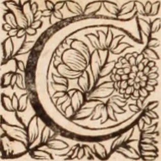An illustration from Zacuti Lusitani Opera omnia, 1667, leaf 47