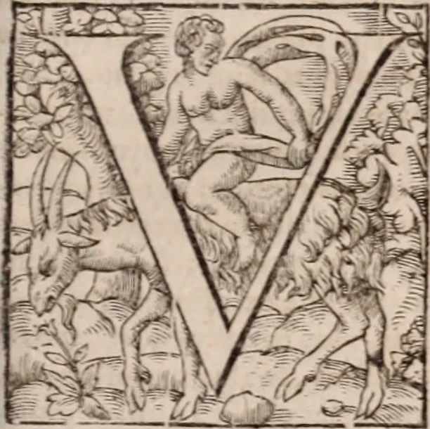 An illustration from Zacuti Lusitani Opera omnia, 1667, leaf 514